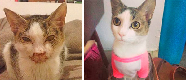 Antes e Depois 3
