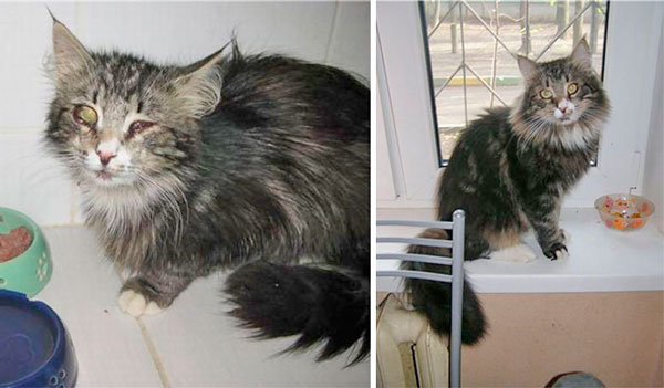 Antes e Depois 4
